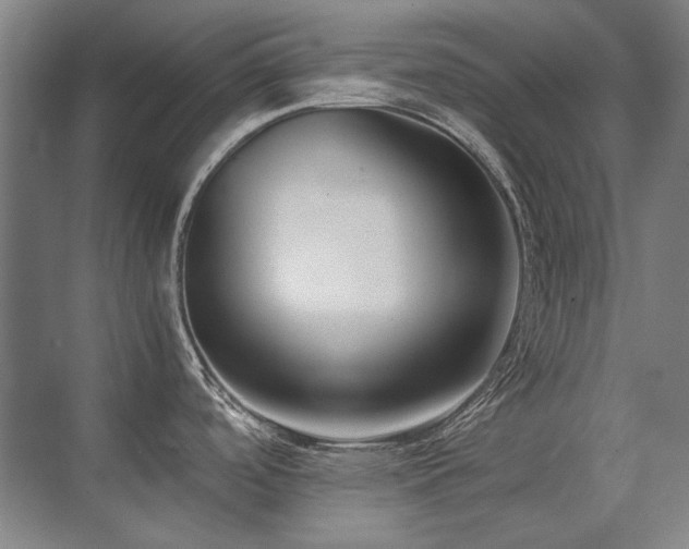 X0000071951488200607071157