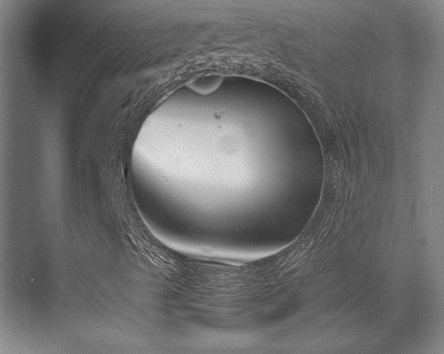 X0000071951489200607071156