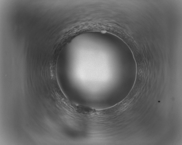 X0000071951490200607071156