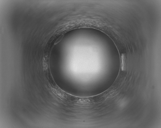 X0000071951491200607071156