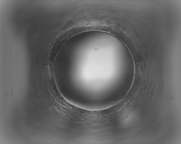 X0000071951493200607071156