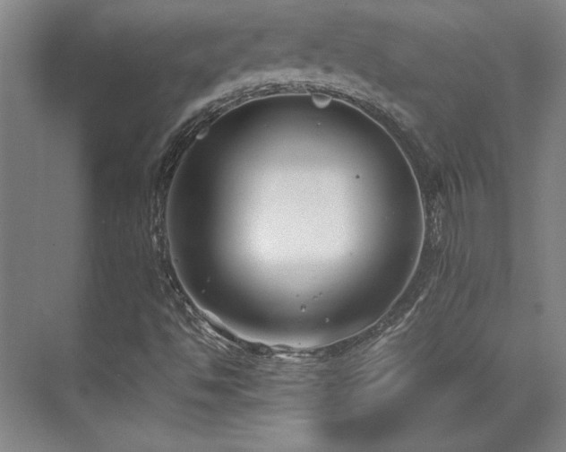 X0000071951494200607071156