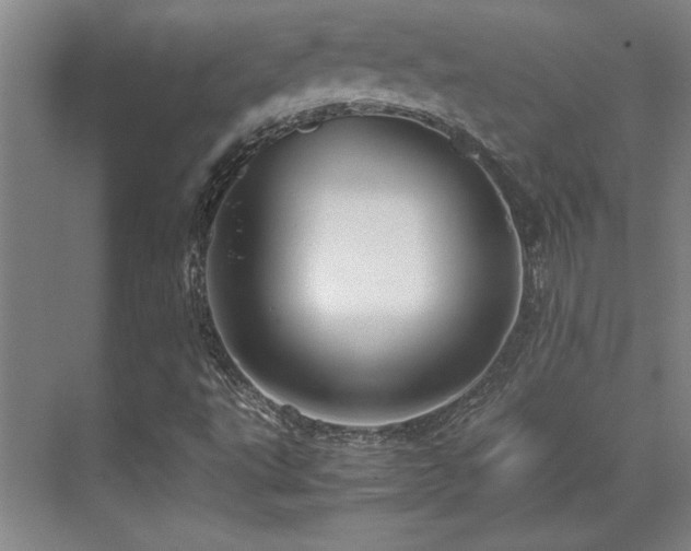 X0000071951495200607071156