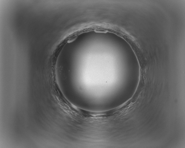 X0000071951496200607071156