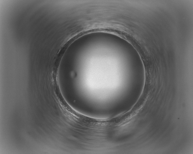 X0000071951497200607071156