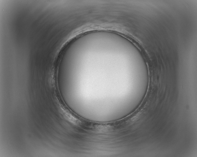 X0000071951498200607071156