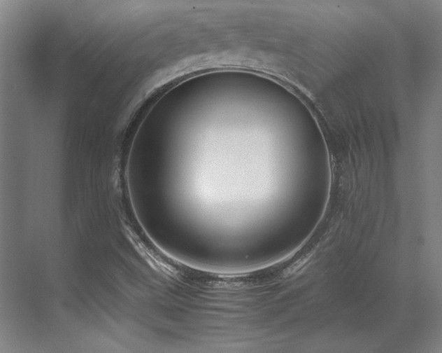 X0000071951499200607071156