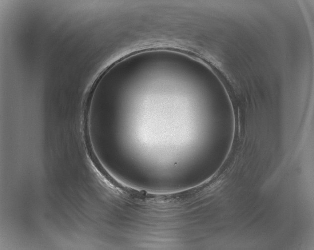 X0000071951500200607071156