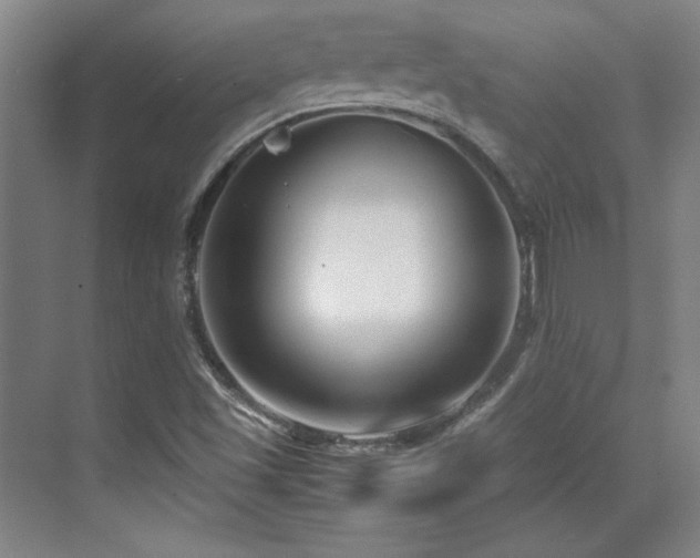 X0000071951501200607071156