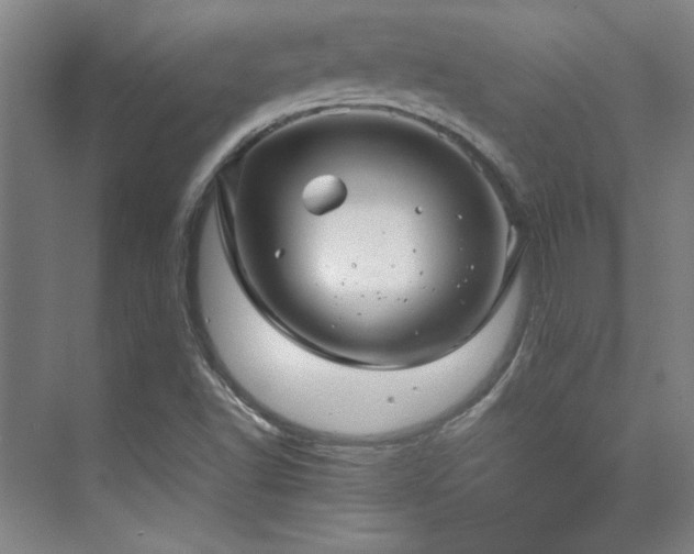 X0000071951502200607071156