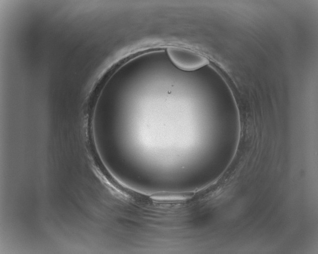 X0000071951503200607071156