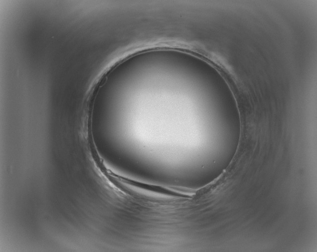 X0000071951504200607071156