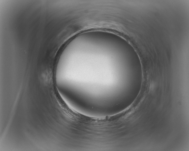 X0000071951505200607071156