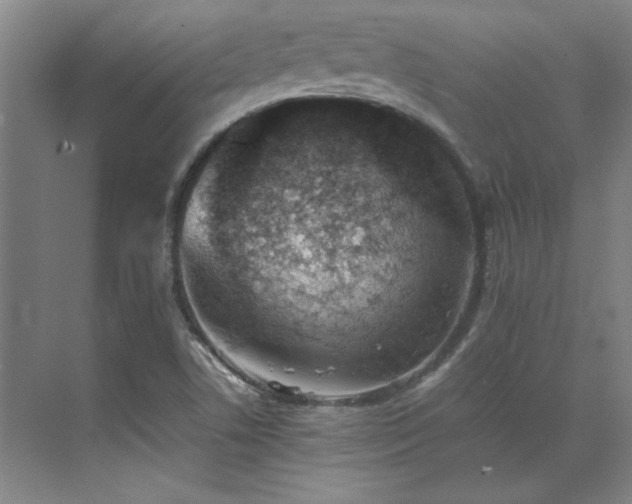 X0000071951506200607071156