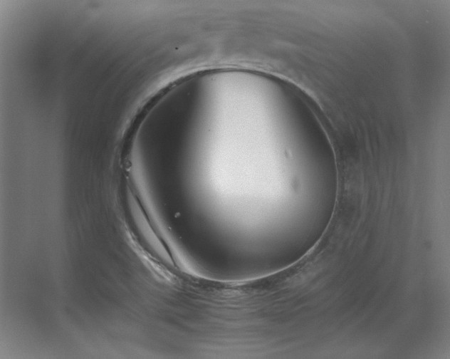 X0000071951507200607071156