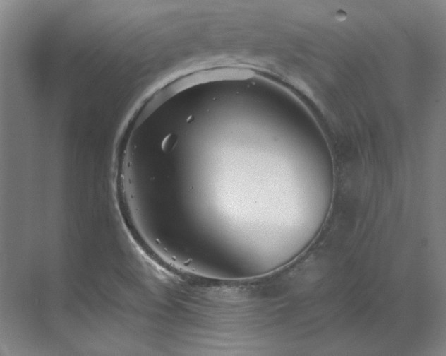 X0000071951508200607071156