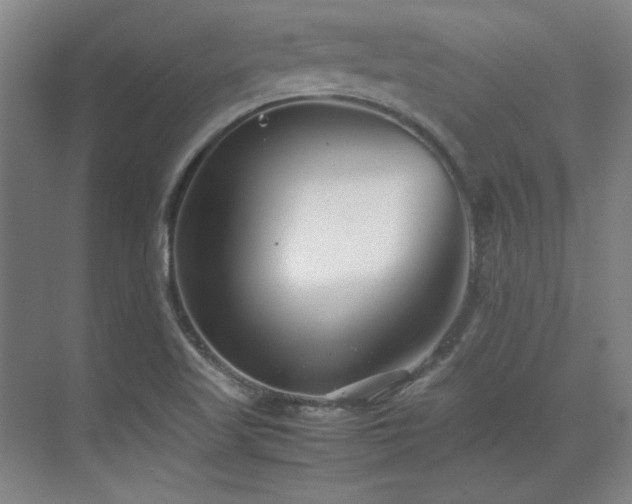 X0000071951509200607071156