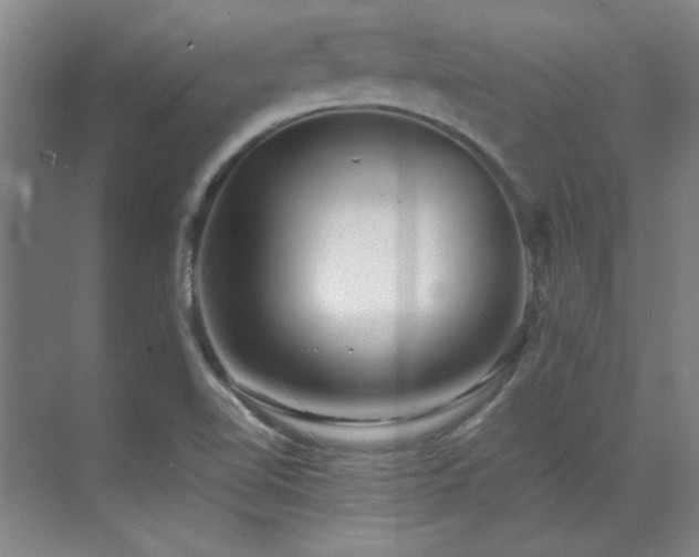 X0000071951510200607071156