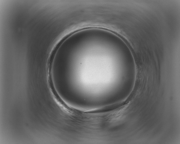 X0000071951511200607071156