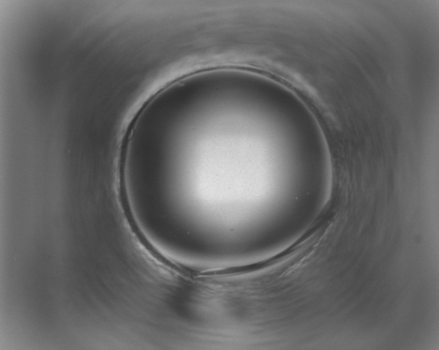 X0000071951512200607071156