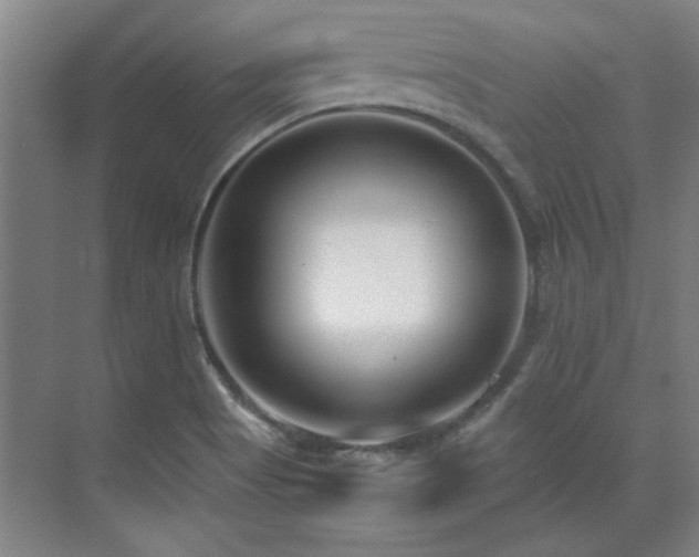 X0000071951513200607071156