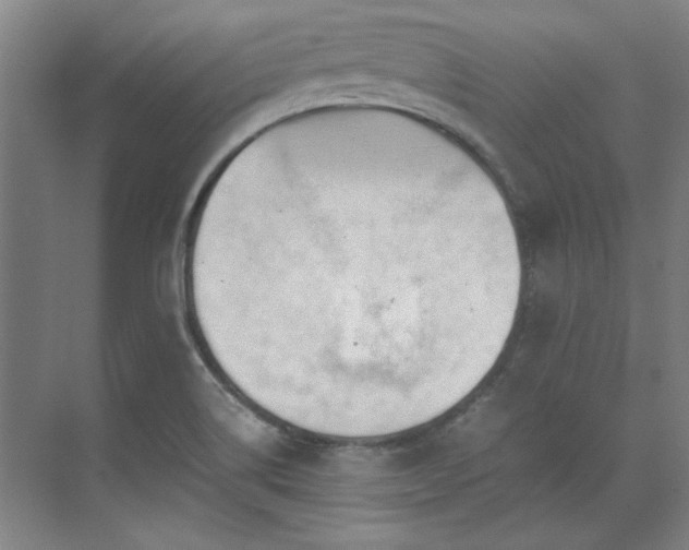 X0000071951514200607071156