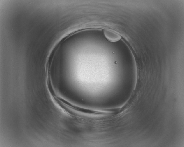 X0000071951515200607071156