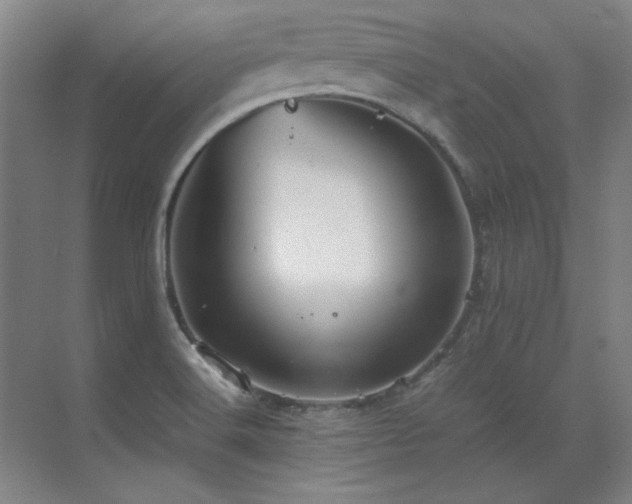 X0000071951516200607071156