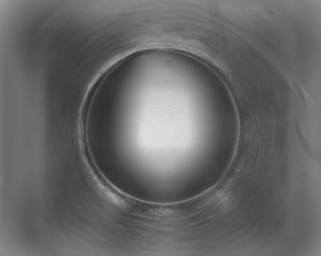 X0000071951517200607071156