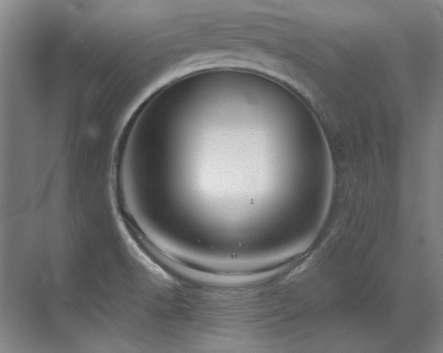 X0000071951518200607071157