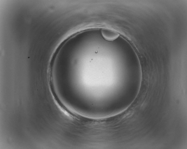 X0000071951519200607071157