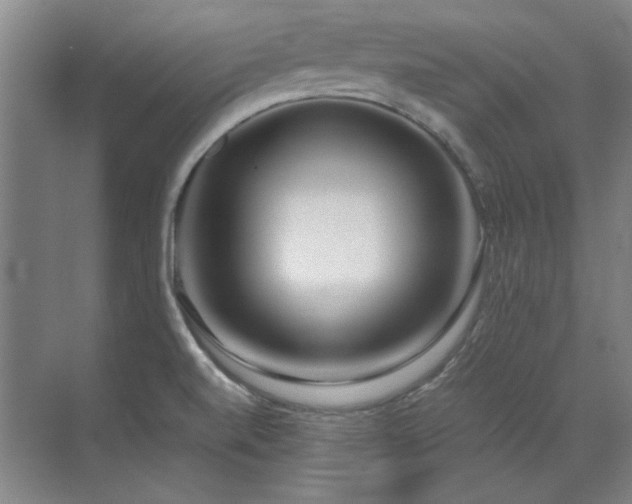 X0000071951520200607071157