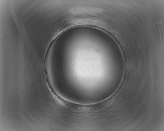 X0000071951521200607071157