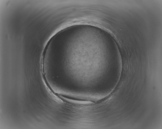 X0000071951522200607071157