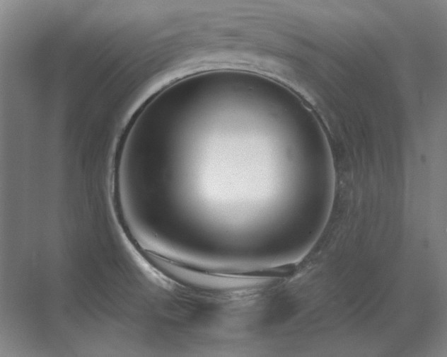 X0000071951523200607071157