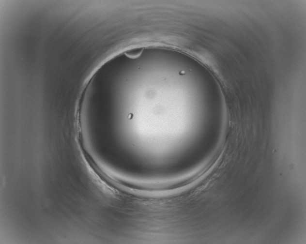 X0000071951524200607071157