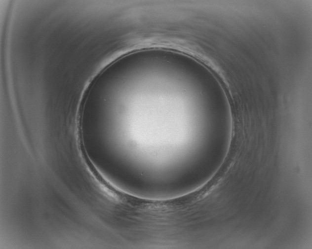 X0000071951525200607071157