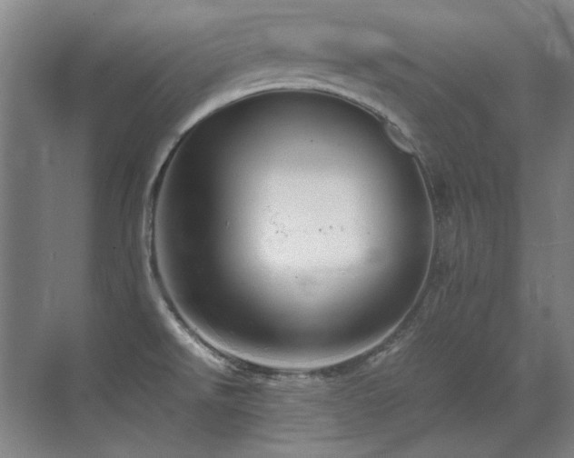 X0000071951526200607071157