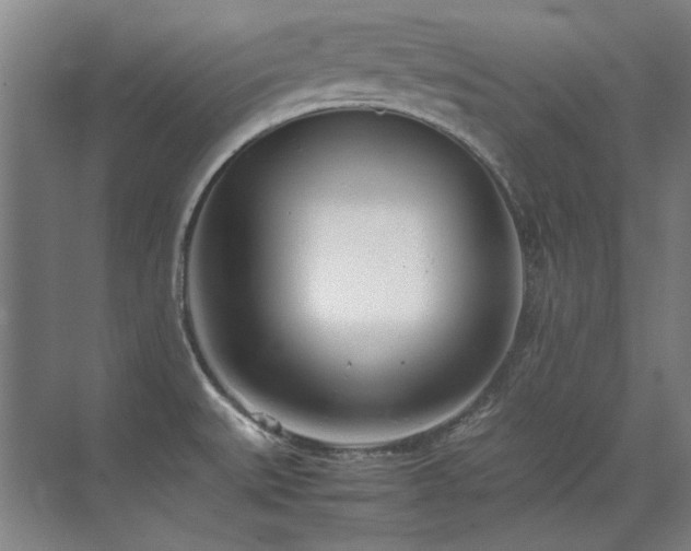 X0000071951527200607071157