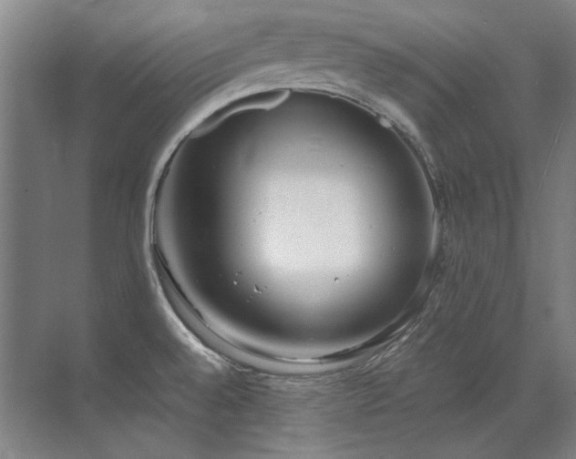 X0000071951528200607071157