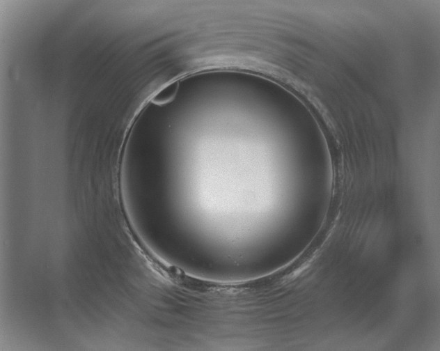 X0000071951529200607071157