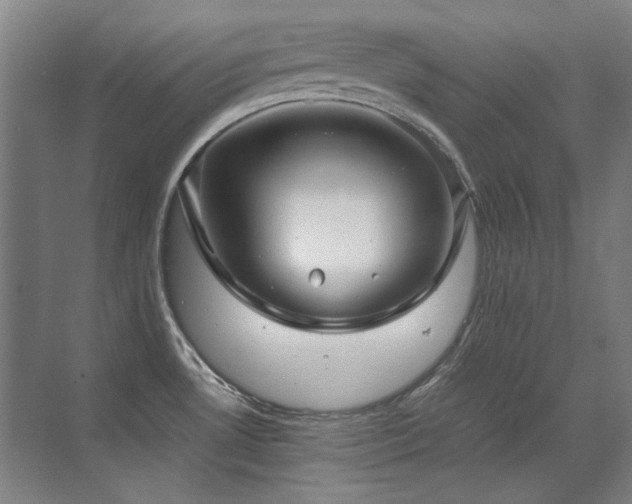 X0000071951530200607071157