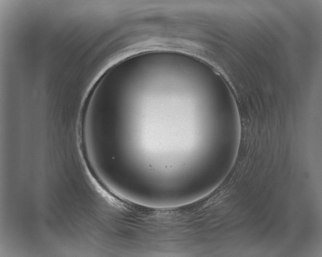 X0000071951531200607071157