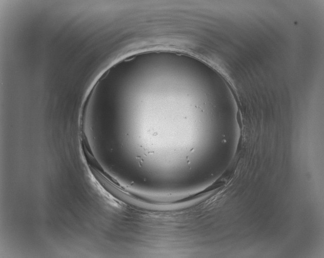 X0000071951532200607071157