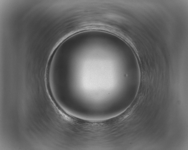 X0000071951533200607071157