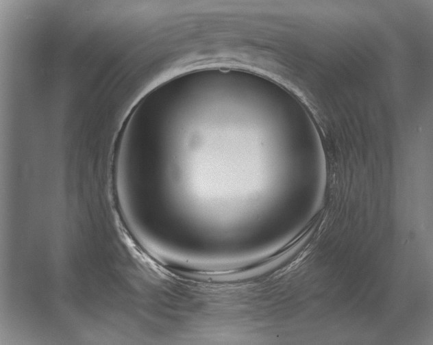 X0000071951534200607071157