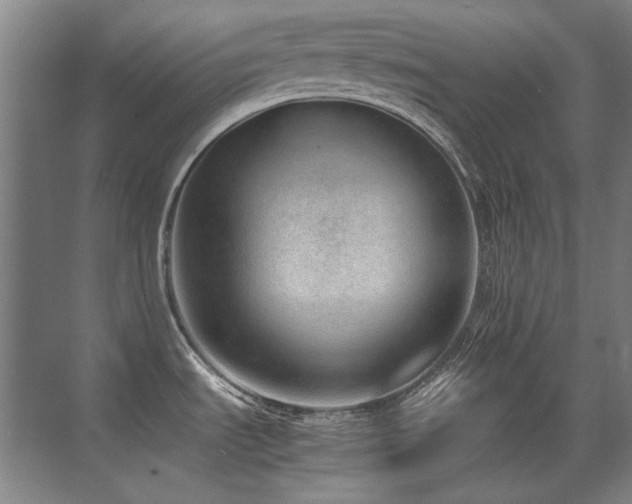 X0000071951535200607071157