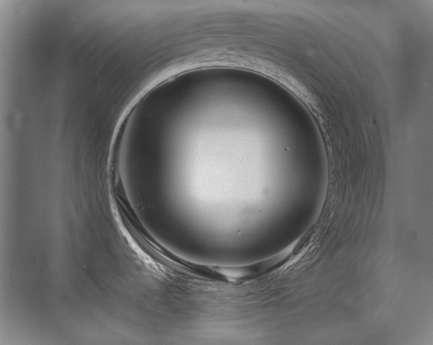 X0000071951536200607071157