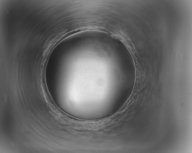 X0000071950001200607141511