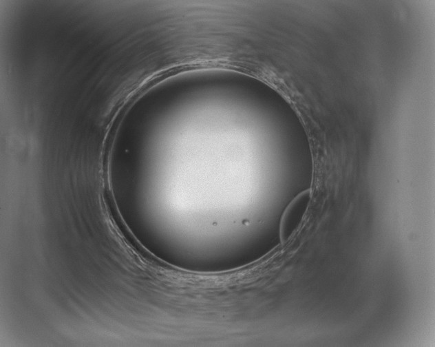 X0000071950002200607141511